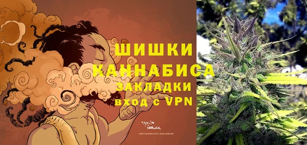 ECSTASY Гусев