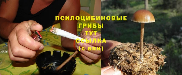 spice Гусиноозёрск