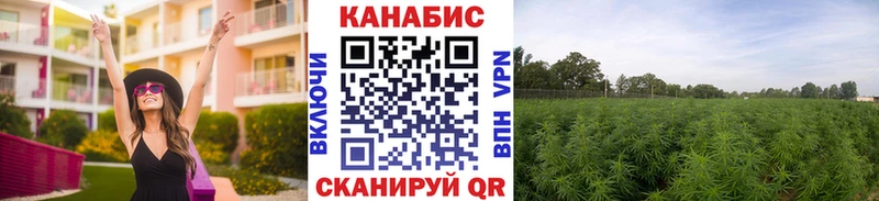 Канабис SATIVA & INDICA  мориарти формула  Жуков 